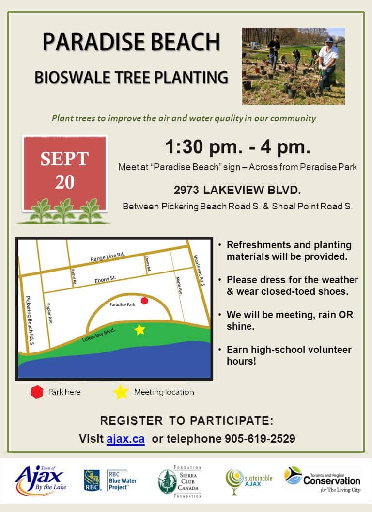 Paradise beach tree planting event poster