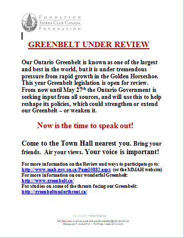 gb_townhall_flyer