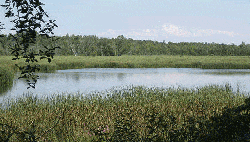 niagara_mud_lake_conservation_area_oca