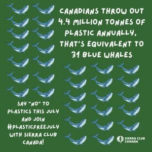 Canadians throw out 4.4 million tonnes of plastic annually, that's equivalent to 31 blue whales. Say "No" to plastics this July and join Plastic Free July 2023 with Sierra Club Canada! Graphic depicts 31 blue whales on a green background.