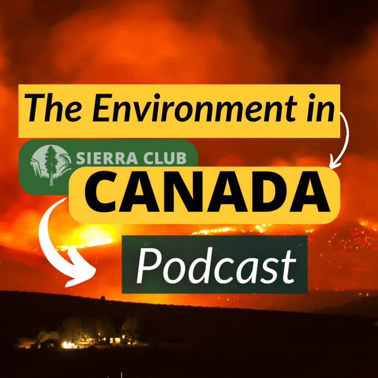 Carbon Tax Coal Wildfires episode page of The Environment in Canada Podcast with the title of the podcast on the background of a wildfire.