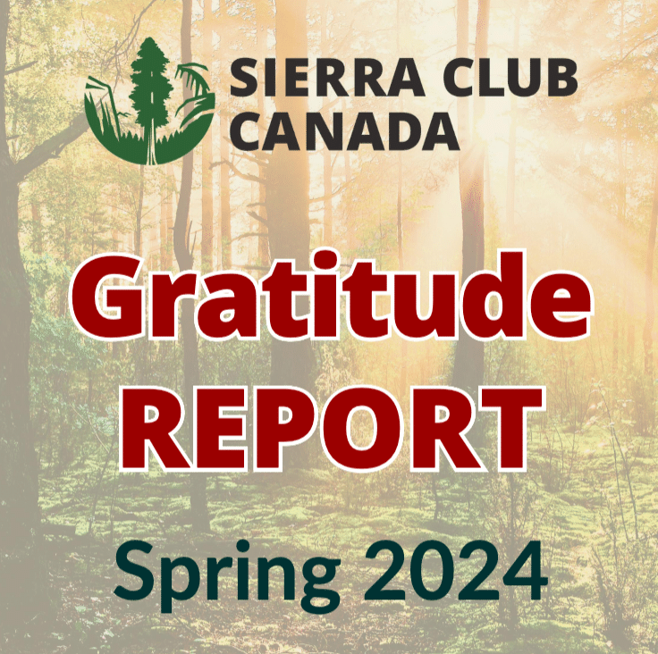 The text Gratitude Report Spring 2024 and the Sierra Club Canada logo on a forest background
