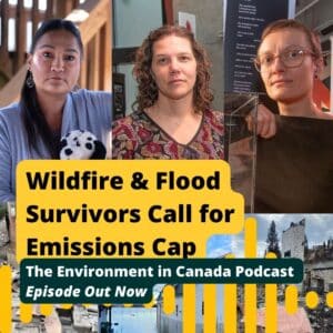 Climate impact survivors call for an emissions cap - image of wildfire and flood survivors 