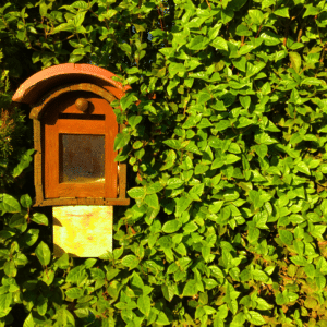 Canadian Union of Postal Workers Canadian Union Postal Workers podcast picture of a postbox in a green hedge